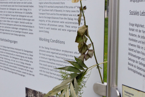 Besucher am Stalag-Gedenkplatz - © C. Fößmeier