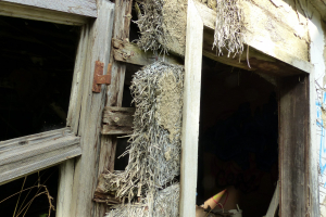 Bausubstanz Eternit-Platten - © G. Strehle