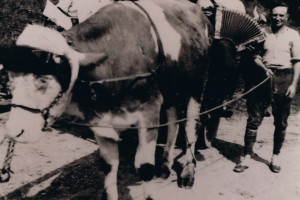 Französische Gefangene, Arbeitseinsatz außerhalb des Lagers